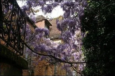 Allez dans la rue du Prsidial bti en 1640,  Sarlat, fin avril. Je vous garantis la floraison des glycines. Mais qu'est-ce que le Prsidial ?