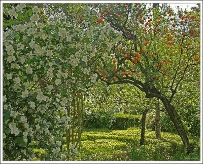 Seringat et oranges dans un mlange subtil de senteurs dlicates et enivrantes. Vous flnez, ravis, dans le  Jardin des Dames ,  Sville.  qui doit-il son appellation ?