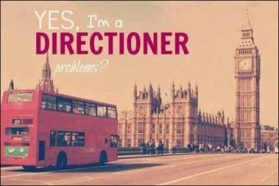 Lequel veut comme petite amie une Directioner si possible ?