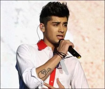 S'il devait tre un animal, Zayn serait :