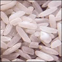 Le mot commence par : Ju ...