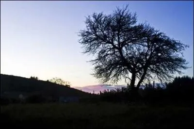 Quel est le point culminant des monts d'Ambazac ?