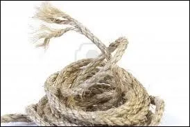 Le mot commence par : Ja ...