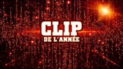 Qui a gagn l'Award du  Clip de l'anne  ?