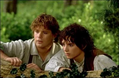 Quel est le titre de ce film ?