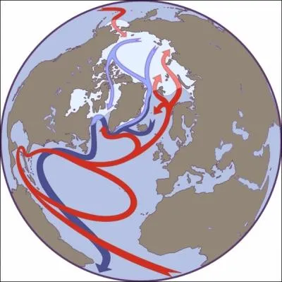 O le Gulf Stream, ce courant marin chaud et de surface, prend-il naissance ?