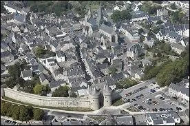 L'image reprsente la cit mdivale de Gurande vue du ciel. Attribuez-lui son dpartement ?