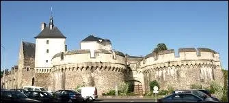 O se trouve Ancenis, reprsente sur l'image avec son chteau ?