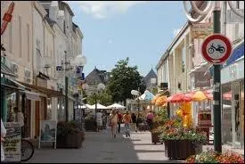 O situez-vous la ville de Challans, reprsente par cette rue pitonne ?