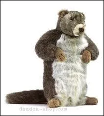 Sous le rgne du parti pris, le montagnard est... ?