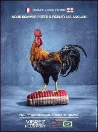 Sous le rgne du parti pris, le franais serait... ?