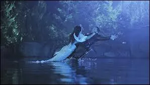 Quel est le nom du lac magique o se trouve la sirne ?