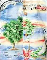 Trs color, voici un imprim qui est un motif plus moderne que de tradition provenant de... ?