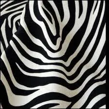 Voici un clbre motif, pas vraiment facile  porter, et  utiliser avec parcimonie dans les dcors, qui se nomme... ?