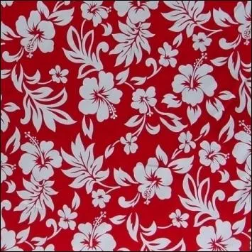 Venu des les lointaines, voici un imprim... ?