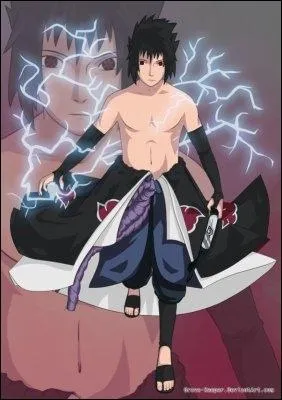 Comment s'appelle cette technique de type Raiton ?