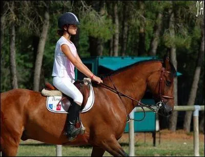 Quelle est la robe de ce cheval ?