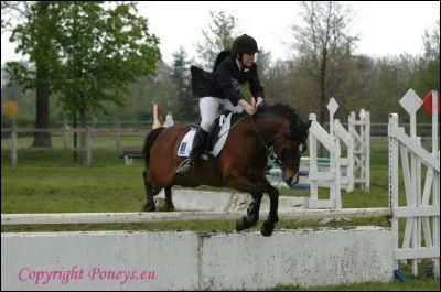 Quelle est cette discipline ?