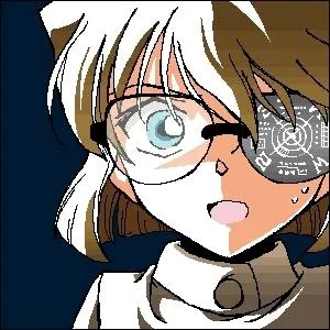 Qui est Ai Haibara ?
