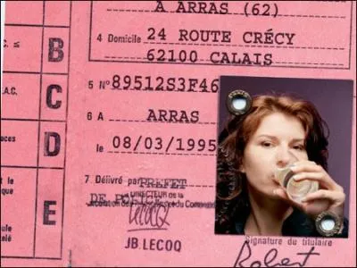 Combien de points un jeune conducteur a-t-il sur son permis ?