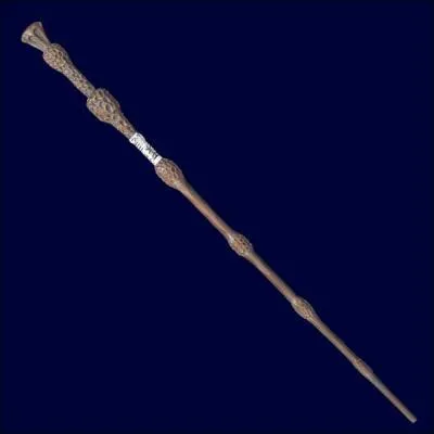 Quelle est la composition de la Baguette de Sureau ?