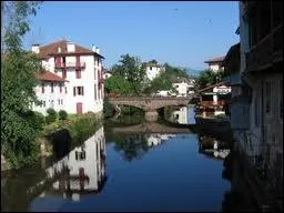 De quelle rivire la Nive est-elle un affluent ?