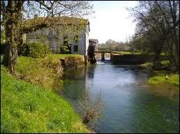 Dans quelle rivire se jette l'Aire ?