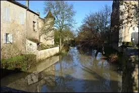 Dans quelle rivire se jette l'Auzoue ?