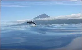 Et les Aores, arriveriez-vous  les situer ? 