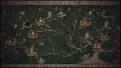  quelle famille cet arbre gnalogique correspond-il ?