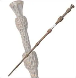 Elle est la baguette la plus puissante au monde et l'une des Reliques de la Mort.