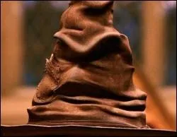 Il dtermine de faon magique dans laquelle des quatre maisons de Poudlard chaque nouvel lve doit tre envoy.