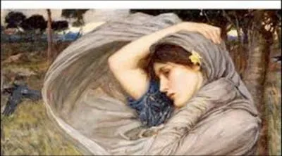 Puis il remporte un concours qui lui permet d'effectuer un stage de six mois aux studios Warner Bros. Il est affect comme stagiaire sur le seul film en tournage du moment :