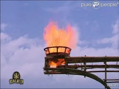 Qui tait dans le petit  clan  des jaunes ?