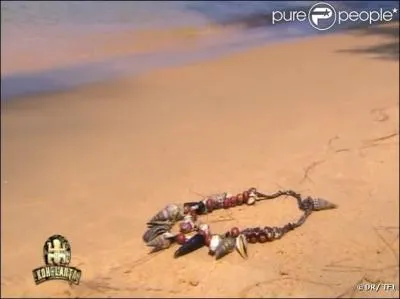 Qui a trouv le collier d'imunits des blancs ?