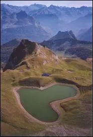 De qui sont les vers  Mon coeur lass de tout mme de l'esprance n'ira plus de ses voeux importuner le sort, prtez moi seulement vallon de mon enfance un asile d'un jour pour attendre la mort  ?