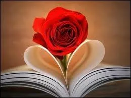 Qui a crit  On ne voit bien qu'avec le coeur  ?