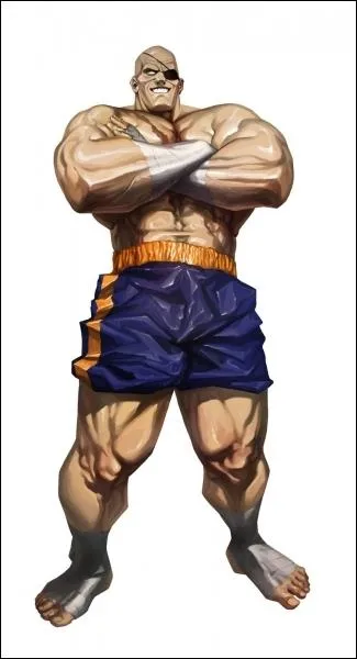 Quel le nom du roi du Muey Thai ?