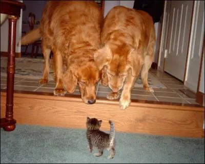 C'est un sentiment universel, beaucoup en ont fait preuve, ne pas cder d'un pouce !