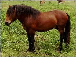 Pour quelle activit le Dartmoor est-il le plus souvent utilis ?