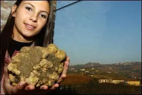 Comment se nomme cette truffe ?