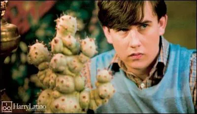 Quelle plante a eu Neville pour ses 15 ans ?