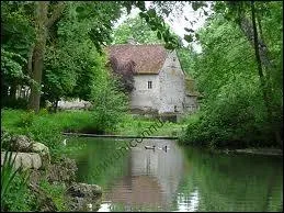 De quelle rivire l'Arnon est-elle un affluent ?