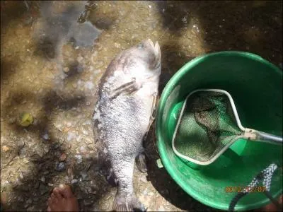 C'est un mot squelettique !