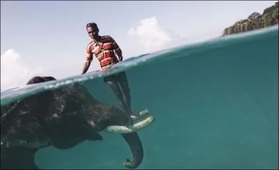 Le mot correspondant  cette photo n'est l que pour vous ...