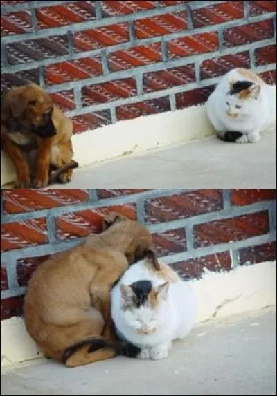 Ce mot devrait vous venir  l'esprit !