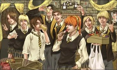 Qui est la petite amie d'Ernie (remarquable lve de Poufsouffle) dans le 4 ?