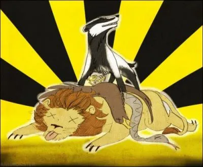 Quel cours ont en commun les Poufsouffle et les Gryffondor ?