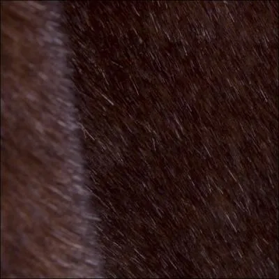 Ne serait-ce pas une belle fourrure ? En anglais, comment dit-on le mot 'fourrure' ?