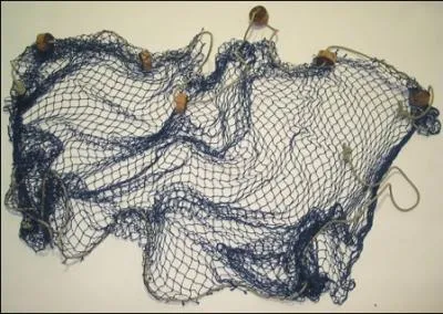 Cet objet permet d'attraper les poissons mais en anglais, comment nomme-t-on cet objet ?